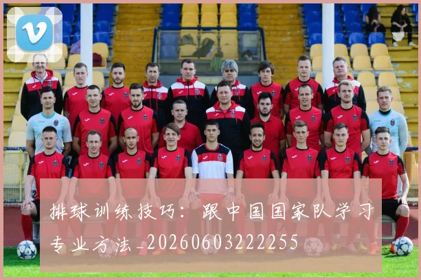排球训练技巧：跟中国国家队学习专业方法_20260603222255